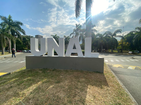 Impermeabilización Biblioteca UNAL Medellín - MANTO ASFALTICO