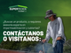 Sellantes